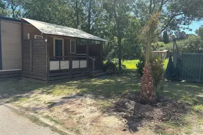 Image de Mobile home camping ****les palmiers Hyeres 83400