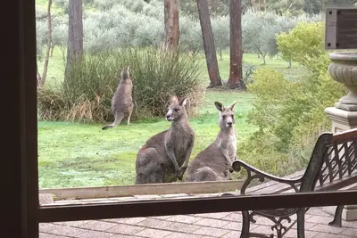 Image de CountrysideRetreat Romance Luxury Cottage NativeWildlife Daylesford – Hepburn