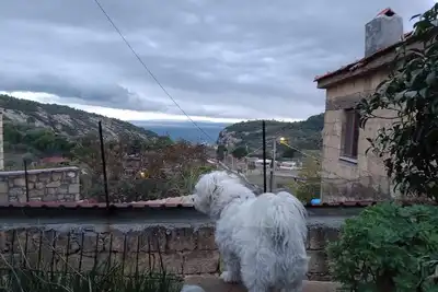 Image de Merve’s Stone House Assos