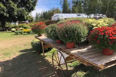 Image de Cozy guesthouse on a working fruit and flower farm.