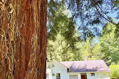 Image de Flower House - Pet Friendly - Redwood Forest Nearby