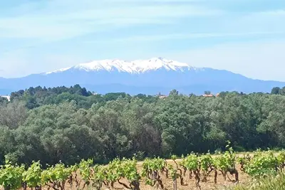 Image de Petite maison de village en Catalogne: Le Souleillou, plages à 7 mn