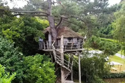 Image de Cabane dans les arbres 2 pièces 2/4 personnes