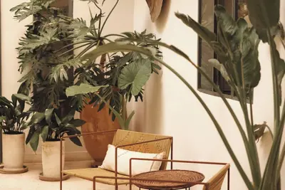 Image de Riad le5 - Luxirious private Riad - All Inclusive