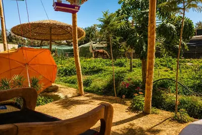 Image de Charming Garden Apartment with Pool – A Peaceful Escape in Taroudant