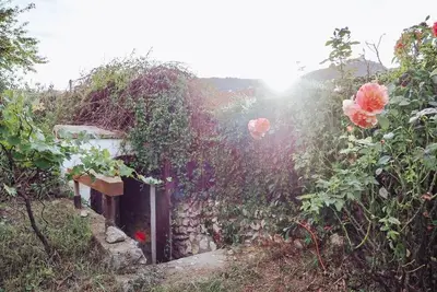 Image de Cottage with private wine cellar below Děvičky, Pavlov
