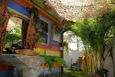 Image de Tropical Beach Cottage-Steps to the Beach-Short Walk to Siesta Key Village