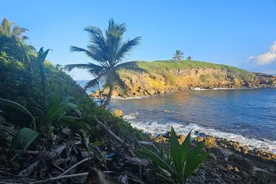Image de Casa Bali Tropical Escape