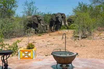 Image de Safari Lodge in Kruger National Park with a waterhole and a hot tub