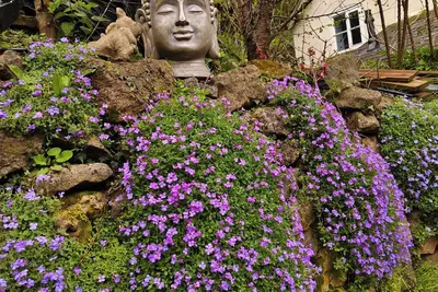 Image de Tranquil Woodland Cottage by river Wye