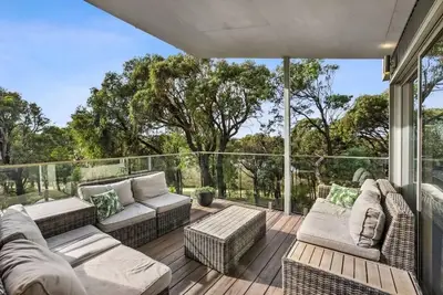 Image de Coastal Tree Top Views