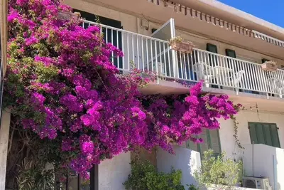 Image de Presquile de Giens Les Canotiers, appartement vue Mer, plage de la Bergerie