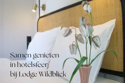 Image de Luxury lodge with a hotel-like atmosphere in the forests of the Sallandse Heuvelrug