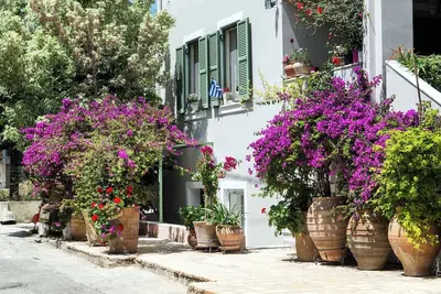 Image de Boukamvillia Apartment, just 500m from Nidri Beach