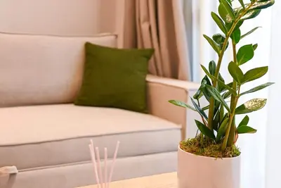 Image de Estelle luxury living Premium Apartment in Paralia Dionisiou (102)