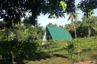 Image de Peacock paradise cabana