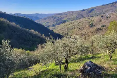Image de Belvedere, a peaceful Tuscan apartment with a pool and panoramic views
