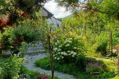 Image de A comfortable 5-person cottage in a peaceful and scenic location in Lagodekhi.