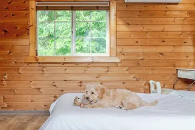 Image de Gapyeong Yellowstone Pet-friendly Pensio