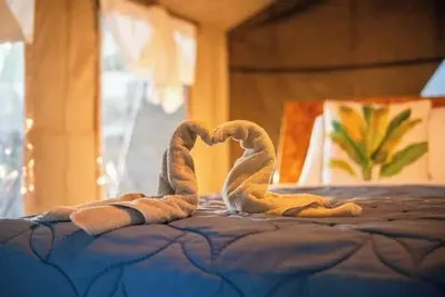 Image de Glamping Safari Near Potrero Beach