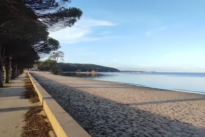 Image de Entre Lac, Dunes et Océan. Logement 2 pièces avec terrasse situé dans les pins