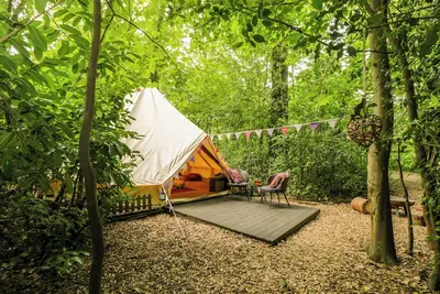 Image de Bedouin Bell Tent, pet friendly in Hollington, Hampshire