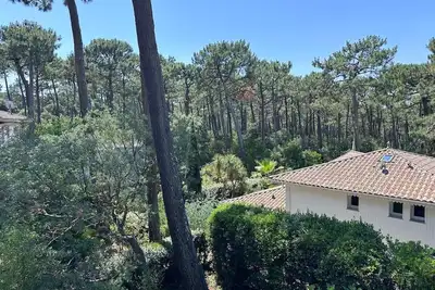 Image de Appartement Arcachon Abatilles, calme, vue forêt et proche de la plage.