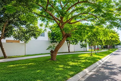 Image de Entire House | Escobedo | North Monterrey