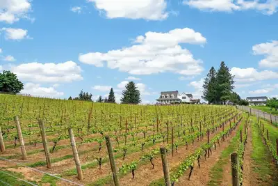 Image de Willamette Wine Country Vineyard Escape