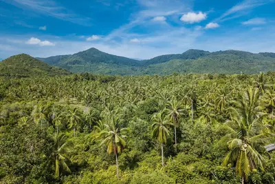 Image de Coco Lilly Villas