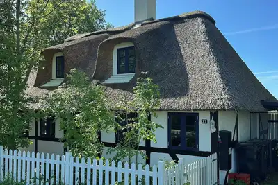 Image de Maison au toit de chaume à Lolland, avec vue sur les champs
