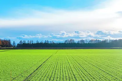 Image de Glamping Resort Feriendorf