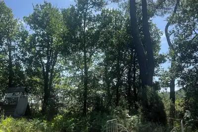 Image de Tinny House, Pool, Bath, And Forest