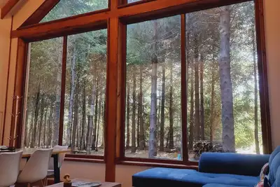 Image de Premium Cabin in Malalcahuello Near Corralco Ski Resort