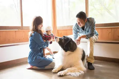 Image de Tateshina Wanwan Paradise Cottage