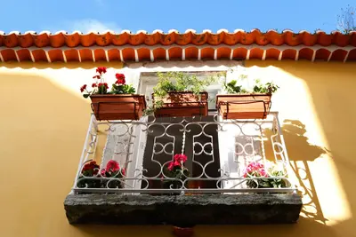 Image de Alfama Yellow House