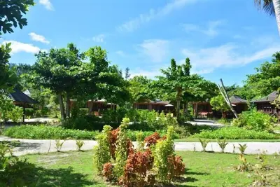 Image de Heliconia Grove