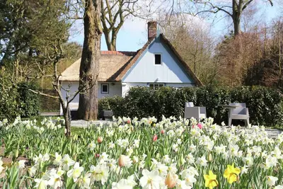 Image de Ferme romantique près de la forêt