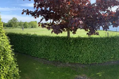 Image de Chalet confortable à Malmedy avec jardin privé