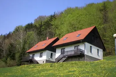 Image de Manoir à Starkov avec piscine partagée