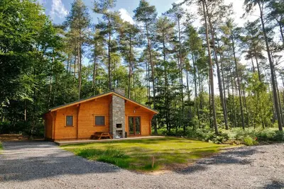 Image de Chalet moderne en bois avec poĂŞle Ă bois, en forĂŞt