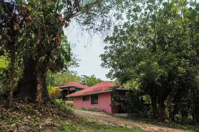 Image de Winíka Alterra