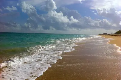 Image de Appartement 1 chambre avec jardin décoré avec goût et équipé pour votre plaisir