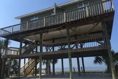 Image de Saison des festons 2019! Premier animal gratuit, taxes locales incluses