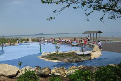 Image de Marcher jusqu'au port, Nelson Beach, Plymouth Rock, musées, restaurants: Excellent