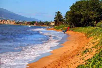 Image de Votre Aventure Maui Attend! ! ! 🏝Réservez maintenant et réservez votre aventure!