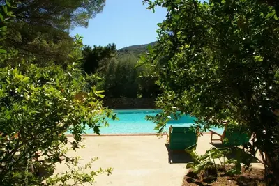 Image de Ambiance Elban, immergée dans le maquis méditerranéen