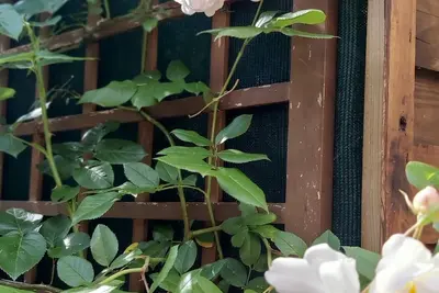 Image de Spacieux gîte construit en pierre avec vue imprenable sur les Cévennes