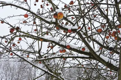 Image de Loin de la vie de la ville et pourtant partie de l'action