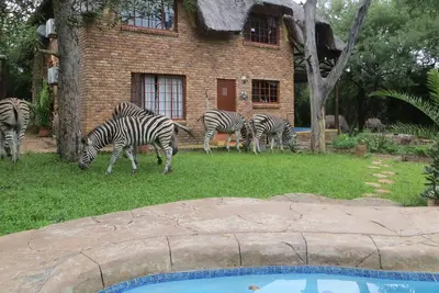 Image de Safari sur et depuis votre terrasse d'observation privée. Profitez de la brousse dans une intimité parfaite!